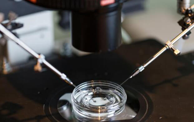 新型IVF技術(shù)通過糖分子綁定延長精子存活期